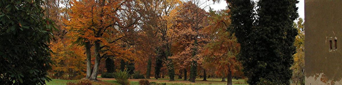 Potsdam